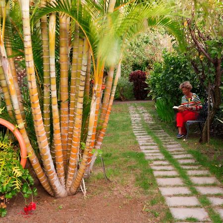 Apartamentos Adjovimar Los Llanos De Aridane Extérieur photo