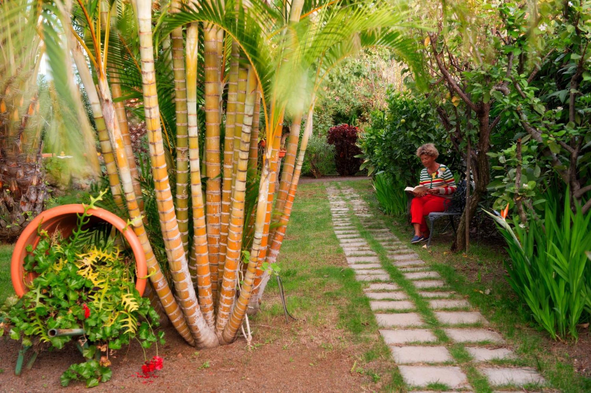 Apartamentos Adjovimar Los Llanos De Aridane Extérieur photo