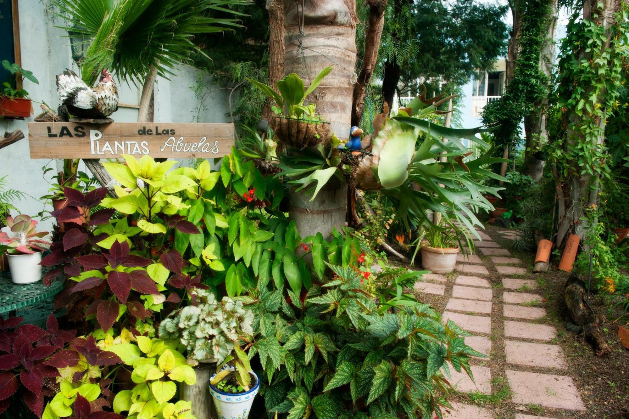 Apartamentos Adjovimar Los Llanos De Aridane Extérieur photo