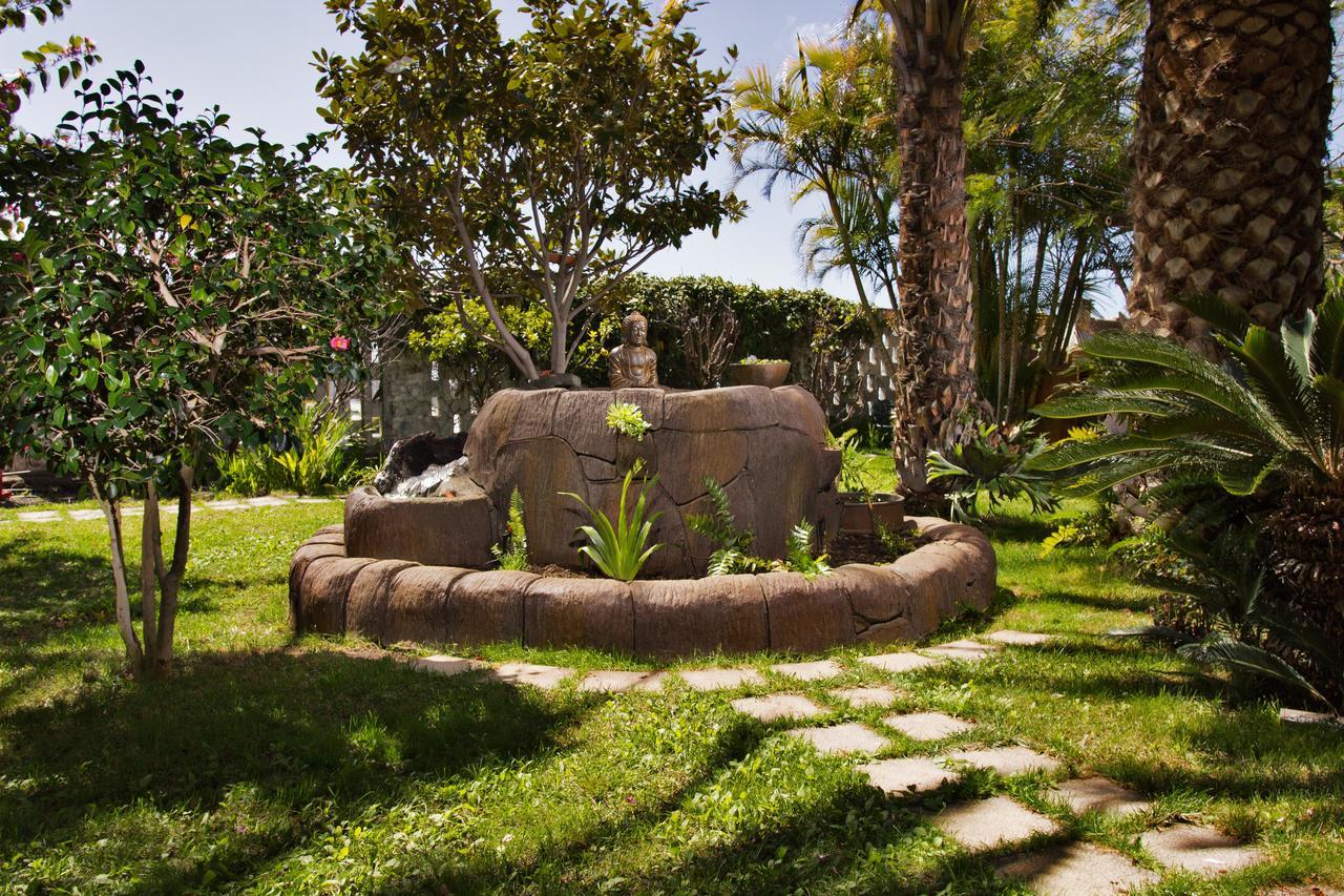 Apartamentos Adjovimar Los Llanos De Aridane Extérieur photo