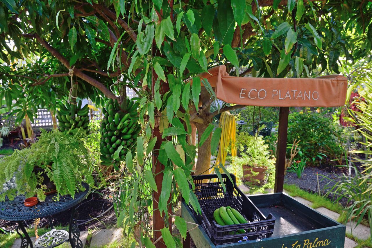 Apartamentos Adjovimar Los Llanos De Aridane Extérieur photo