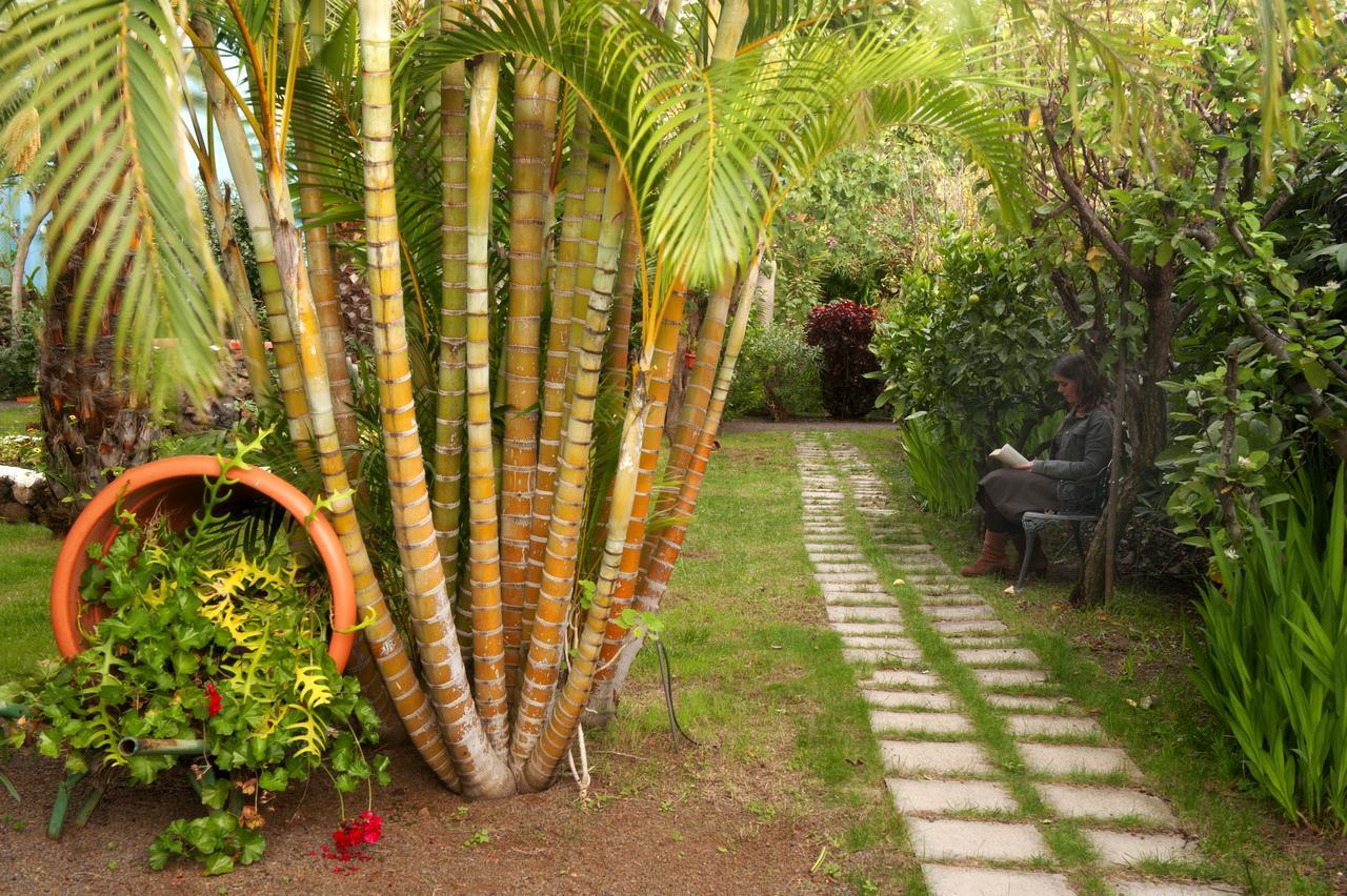 Apartamentos Adjovimar Los Llanos De Aridane Extérieur photo