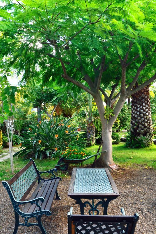 Apartamentos Adjovimar Los Llanos De Aridane Extérieur photo